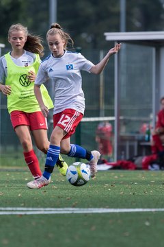 Bild 289 - C-Juniorinnen HSV - Walddoerfer : Ergebnis: 9:1